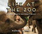 Life at the Zoo For Cheap