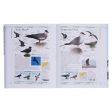 RSPB Complete Birds of Britain and Europe (New Edition) by Rob Hume - Non Fiction - Hardback Cheap